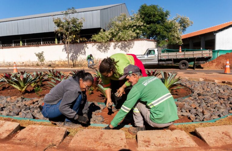 Morrinhos transforma infraestrutura em solução inteligente: Jardim de Chuva melhora drenagem, valoriza a cidade e prepara o futuro